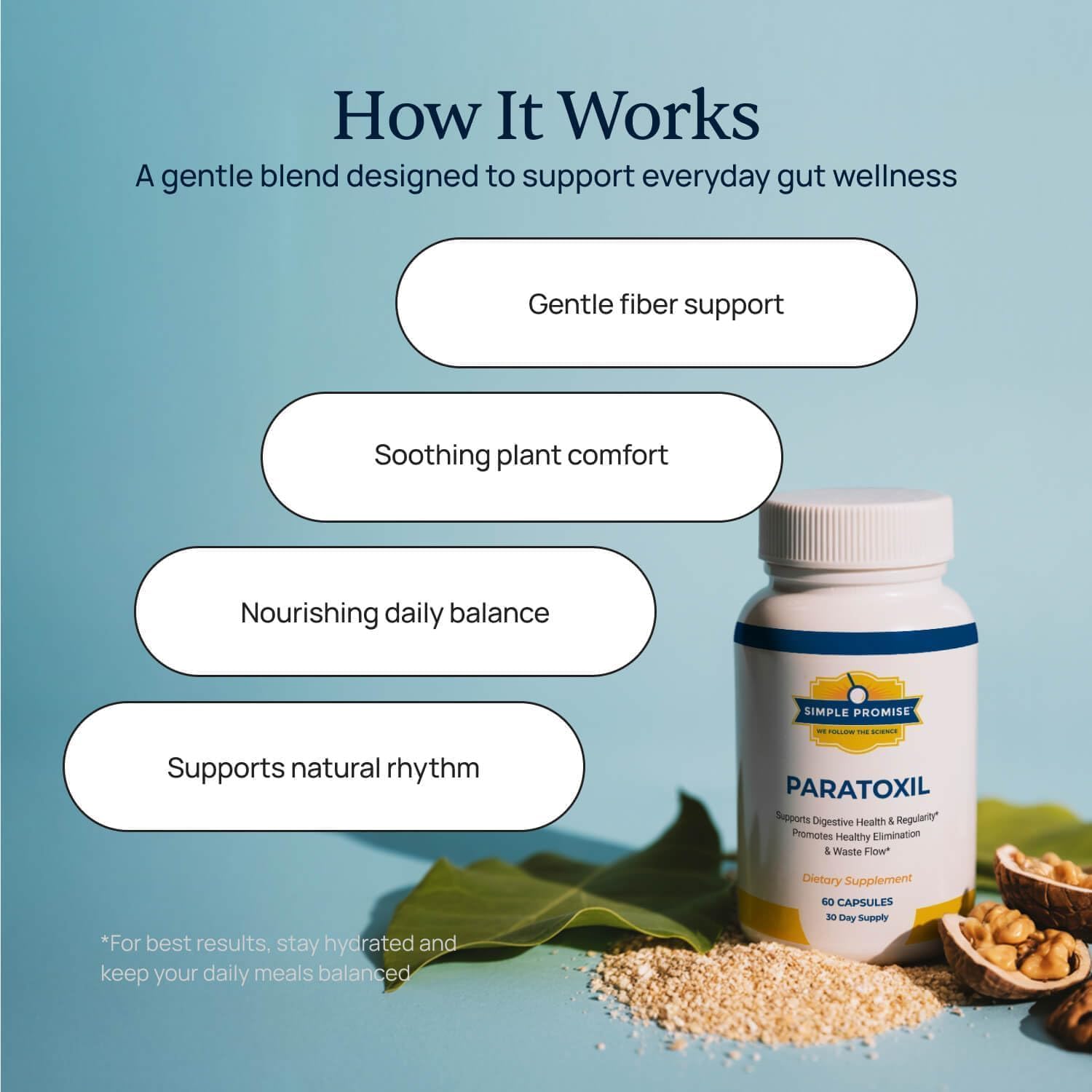 How Paratoxil works: gentle fiber support, soothing plant comfort, nourishing daily balance and support for natural rhythm